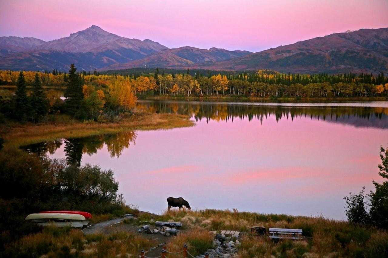 Denali Lakeview Inn Healy Dış mekan fotoğraf